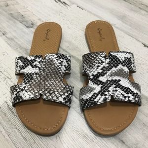 Qupid Black & White Snakeskin Slide Sandal